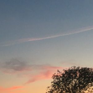 Meet your Posher, Tania